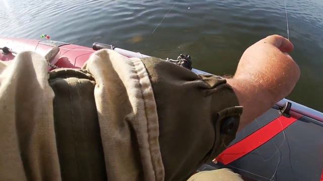 Ловля леща на кольцо на Волге.