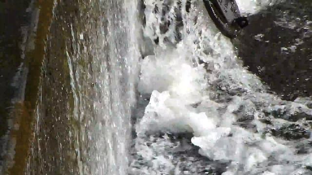 Panasonic Lumix DMC-TZ30 HD Test - Lake Baroon, Maleny Queensland смотреть онлайн