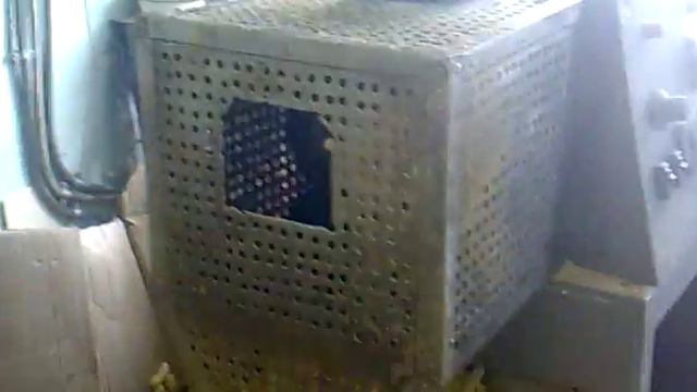 палочки кукурузные смотреть онлайн