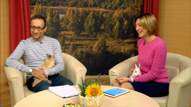 Рубрика Гость в студии: Маргарита Борцова - консультант по содержанию животных