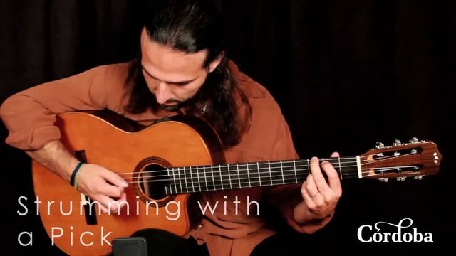 Cordoba Guitars - Fusion Orchestra CE Cedar