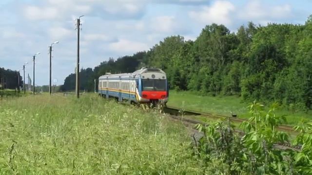 Дизель-поезд ДР1Б-508 сообщением Гомель - Могилёв смотреть онлайн