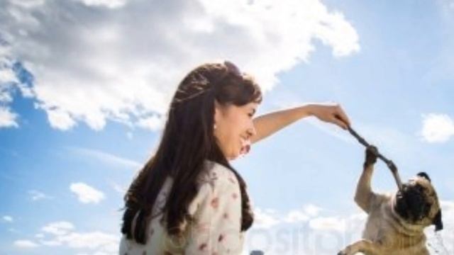 Классные мопсы смотреть онлайн
