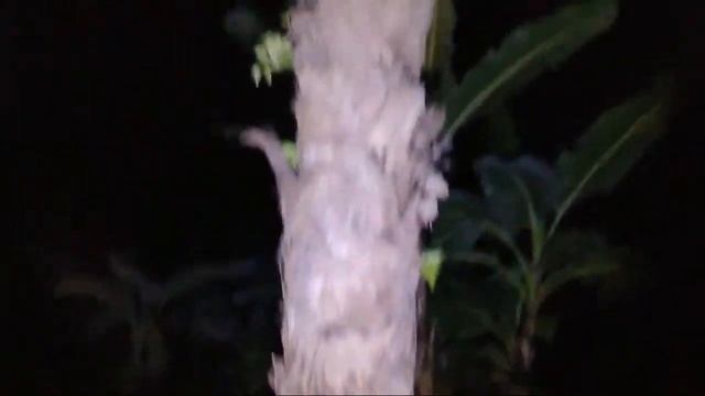 ?MALAM SATU SURO DI KUBURAN BARU