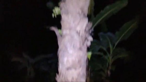 ?MALAM SATU SURO DI KUBURAN BARU