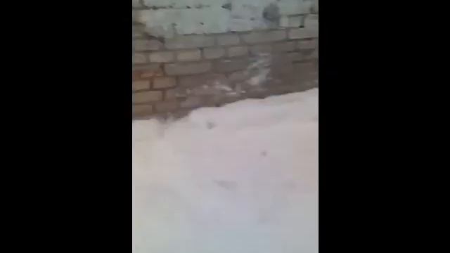 Владик CRAZY