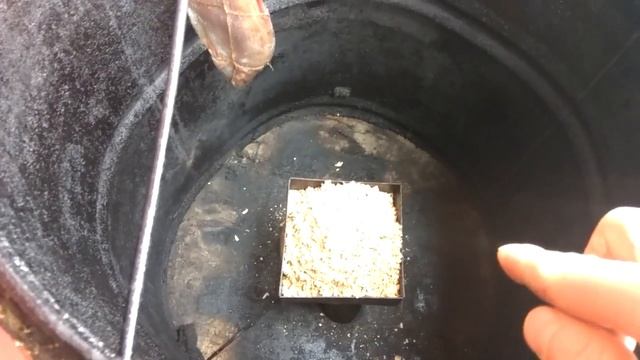 Копчёный лещ и скумбрия смотреть онлайн