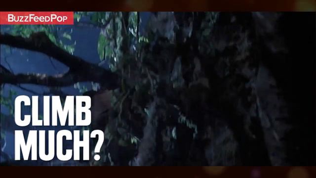13 Questions Jurassic Park Left Unanswered смотреть онлайн