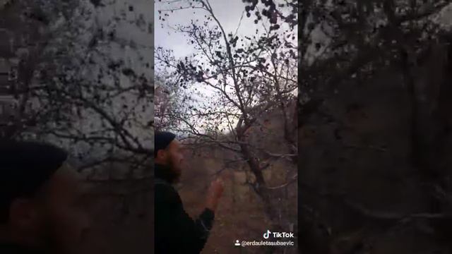 охота рыбалка смотреть онлайн