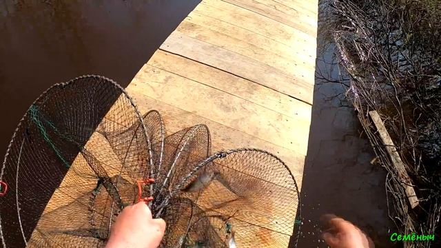 Ловля рыбы самодельными ловушками рядом с домом. Отличный результат. смотреть онлайн