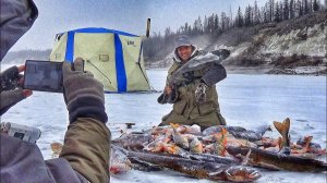 БЕЗУМНЫЙ КЛЁВ ПРОДОЛЖАЕТСЯ! РЕКОРДНЫЙ ОКУНЬ ГОРБАЧ, ЩУКИ, НАЛИМ!