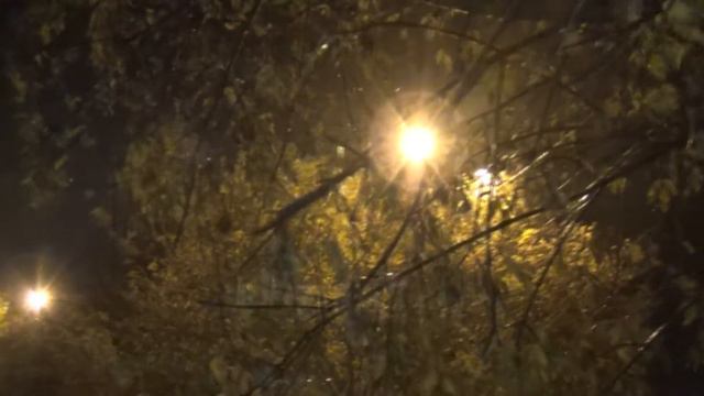 22 10 2020г Собинка Владимирская Конец октября Город Вечер ПВА смотреть онлайн