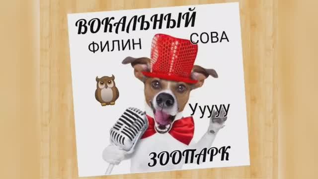 Вокальный ЗООПАРК ?Сова или Филин?Носовой призвук? смотреть онлайн