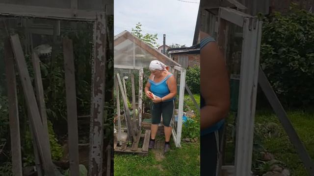 Радость дачной жизни. Лето. Красноярск. смотреть онлайн