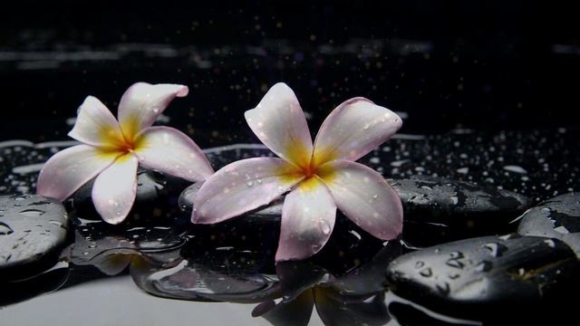 На кого не действует магия? смотреть онлайн