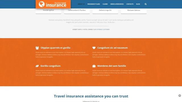 Travel Insurance Provider WordPress Theme by WT Website Template - 52441 смотреть онлайн