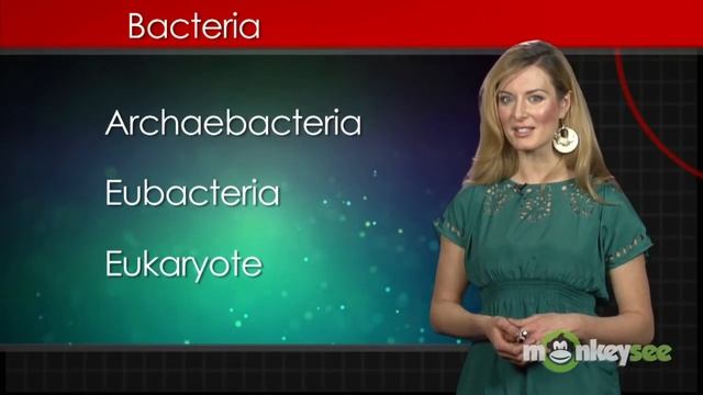 What Is Bacteria? смотреть онлайн