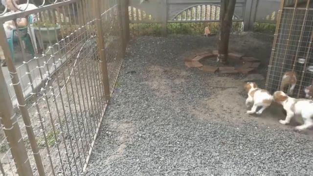 VID 20170908 161449 смотреть онлайн