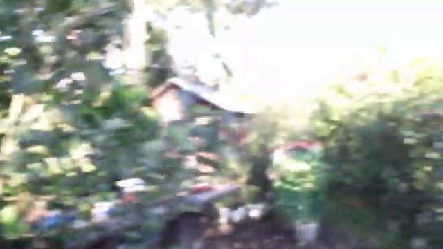 Подарок Садоводам . Яблоня. смотреть онлайн