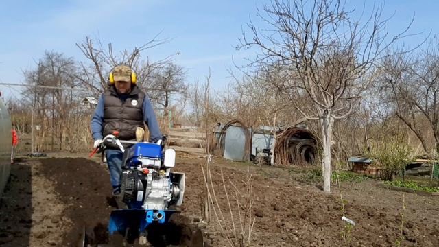 Мотоблок Нева МБ 23 Yamaha MX300 мультиагро весна культивация фрезами легко!!! смотреть онлайн