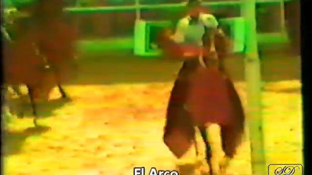 El Arco vs. Sucesor: Competencia Jefe de Raza Trochadores Asdesilla 1982 смотреть онлайн
