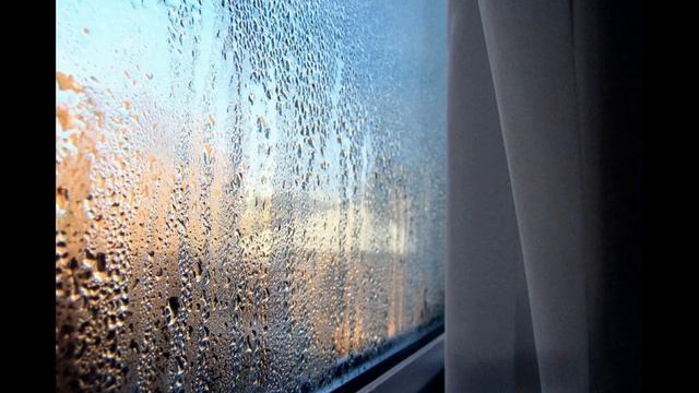 Влажность воздуха для комнатных растений. смотреть онлайн