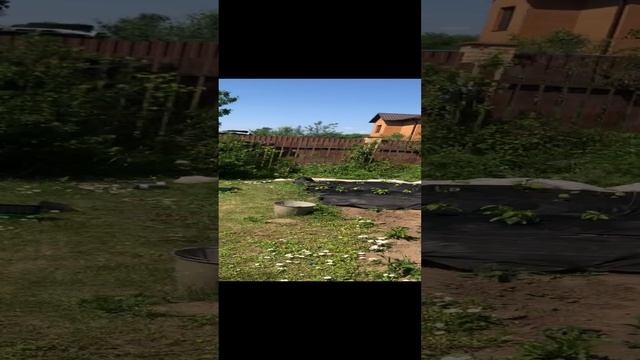 Робота, детский труд