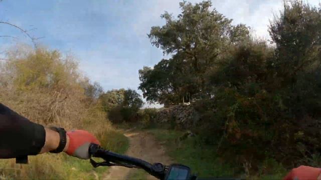 El dia de la marmota смотреть онлайн