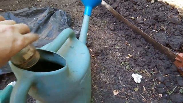 Парник на биотопливе (часть 3) смотреть онлайн
