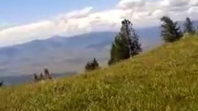 долина реки Бухтарма с высоты смотреть онлайн