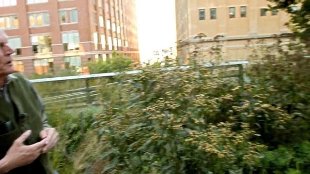 Great Museums: Elevated Thinking: The High Line in New York City смотреть онлайн