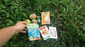 Монилиоз, или плодовая гниль яблони, – опасное и распространенное заболевание.