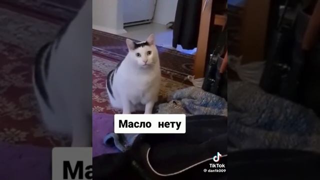 53b6393cf9fc3b7a85d858b30c043181.mp4