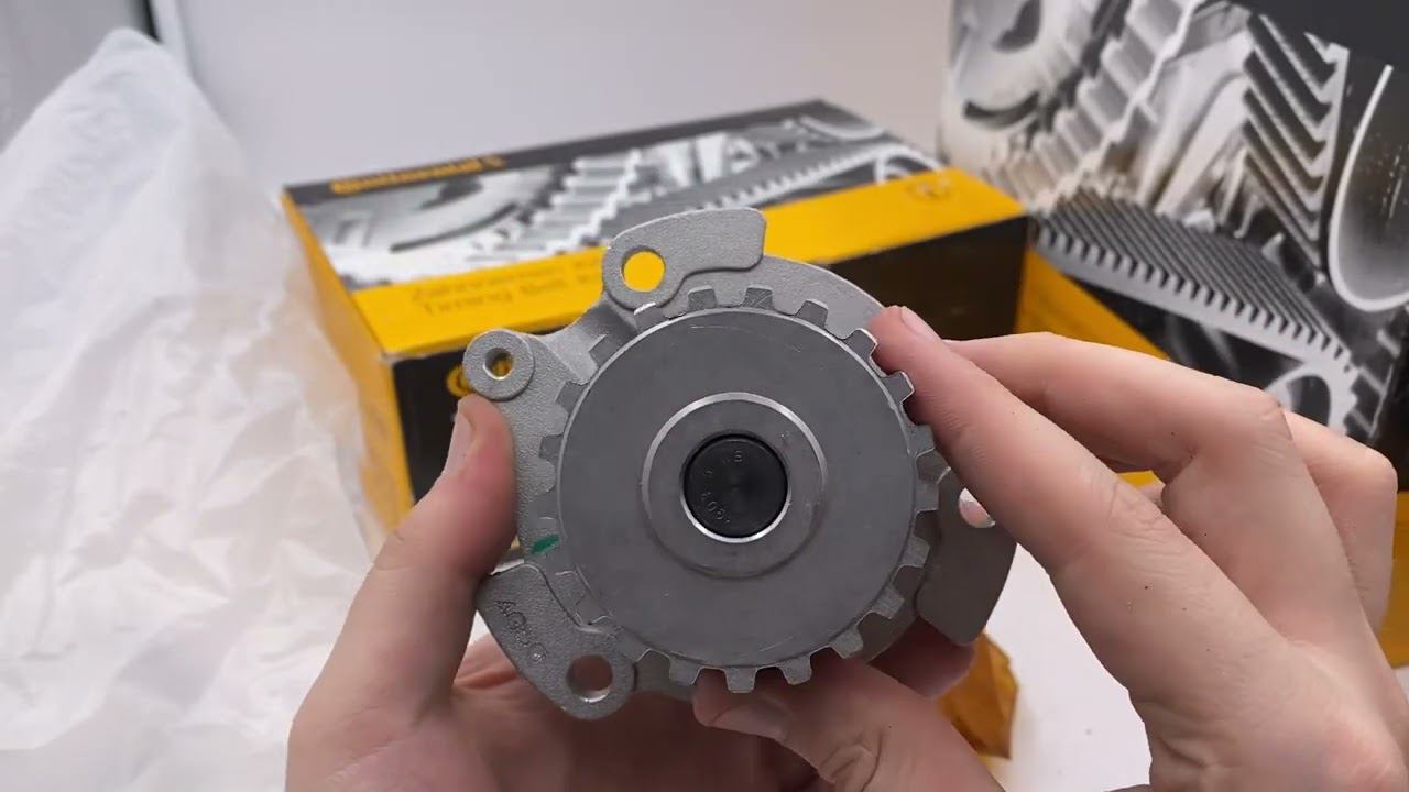 CT1137WP1 смотреть онлайн