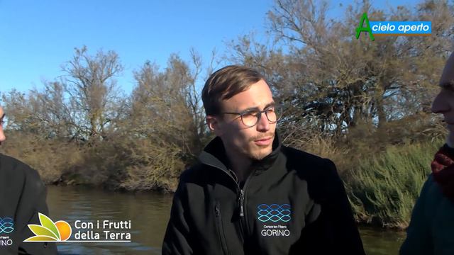 Puntata del 12/12/21 – 1° parte – Le ostriche del Delta del Po смотреть онлайн