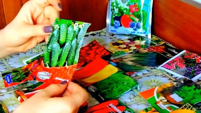 Закупка комнатных семян.Балконное выращивание : огурца,томатов,перцев... смотреть онлайн
