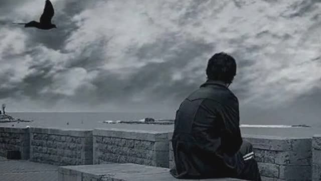 Бедная птица