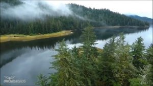 География: Современная политическая карта мира.