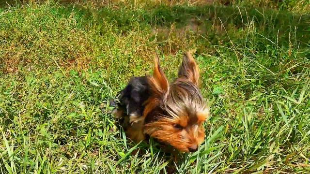 Каждый день принимаю в награду...