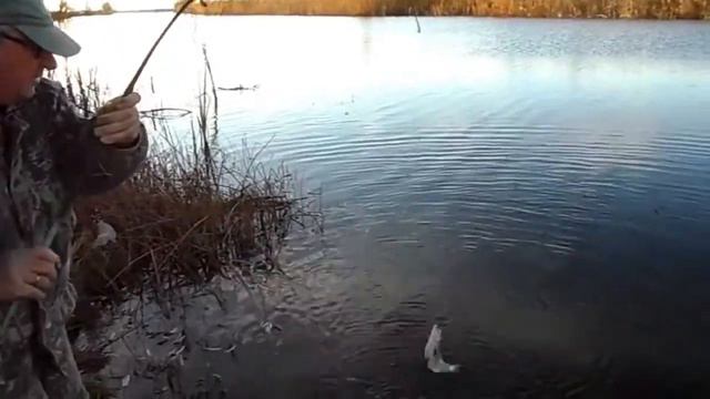 Поплавочная рыбалка на карася видео смотреть онлайн