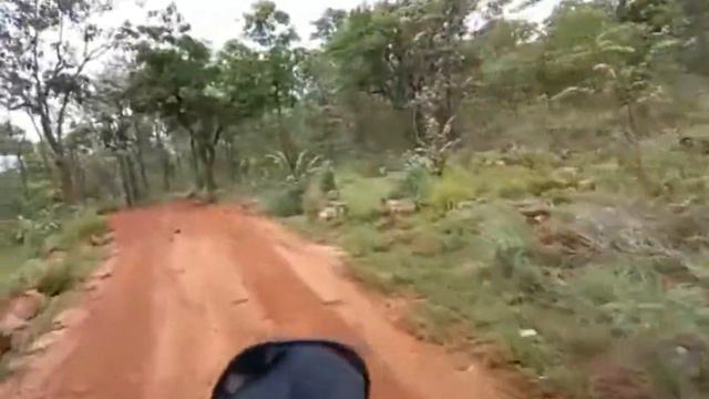 Morning view //Jungle safari //Octopus view point//Night ride in Srisailam. смотреть онлайн