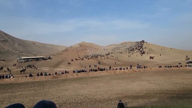 БУЗКАШИ ДАР ШАШУМ НАСОС 2. 2024 смотреть онлайн