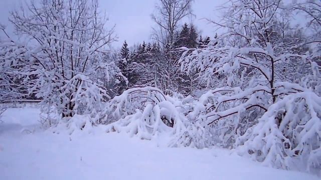 Тест Samsung ST60/ Test Samsung ST60