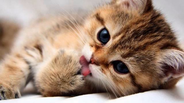 Необычная... нежная... музыка. Новинка 2014 от популярной... смотреть онлайн