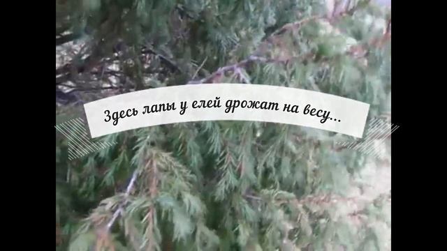 Владимир Высоцкий. Стихи о любви. Наши кумиры. смотреть онлайн