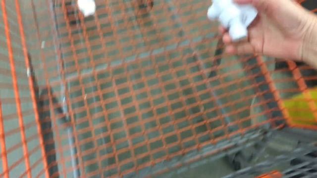 ? ТКАНЬ В ПОЛОСОЧКУ ? МАГАЗИН JO-ANN ТКАНИ - КРАСКИ В HOME DEPOT 14.02.2017 смотреть онлайн
