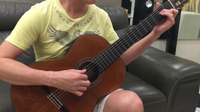 The Shadow Of Your Smile - Guitar Solo смотреть онлайн