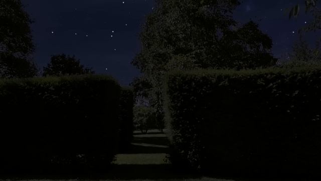 Sleep Meditation - A Guided Journey Through The Maze of Your Mind смотреть онлайн