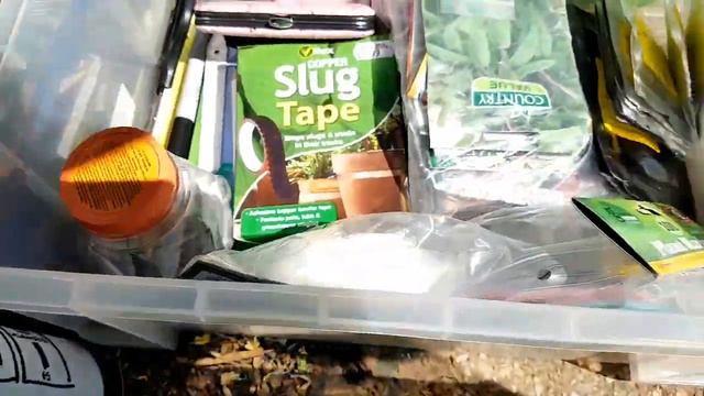 Part 2 Planting out Germinated seeds🌱from 1-10days #greenfinger #horticulture #10days смотреть онлайн