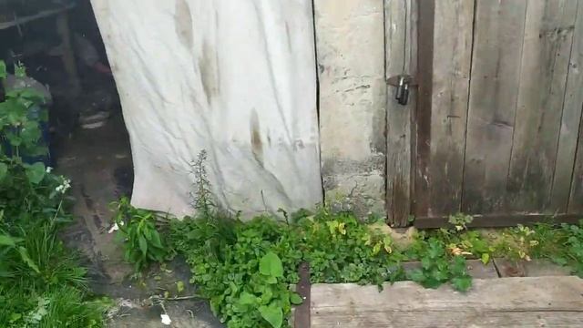 Отпуск! Еду в Курскую область! Мотоцикл Планета 5. смотреть онлайн